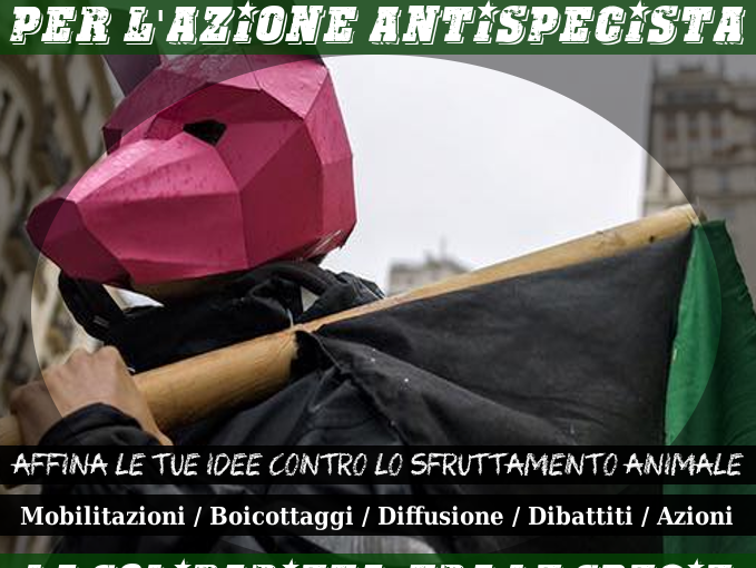 Settimana Internazionale per l’Azione Antispecista